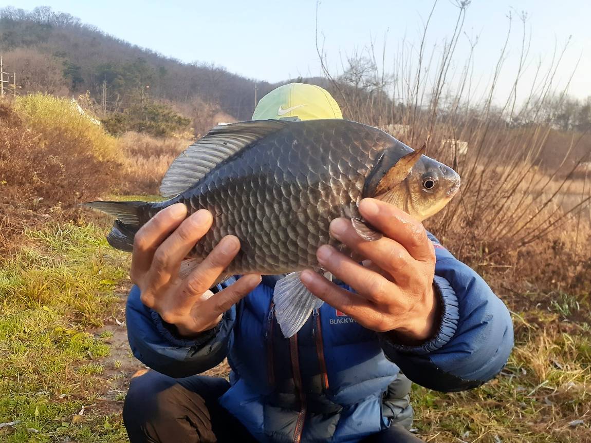 KakaoTalk_20221115_085132364.jpg