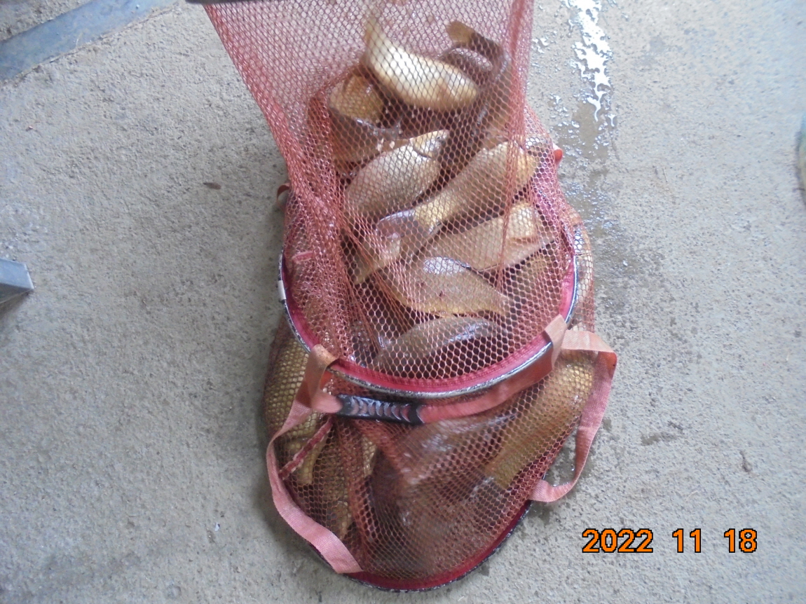 ÀϰýÆíÁý_DSC01899.JPG