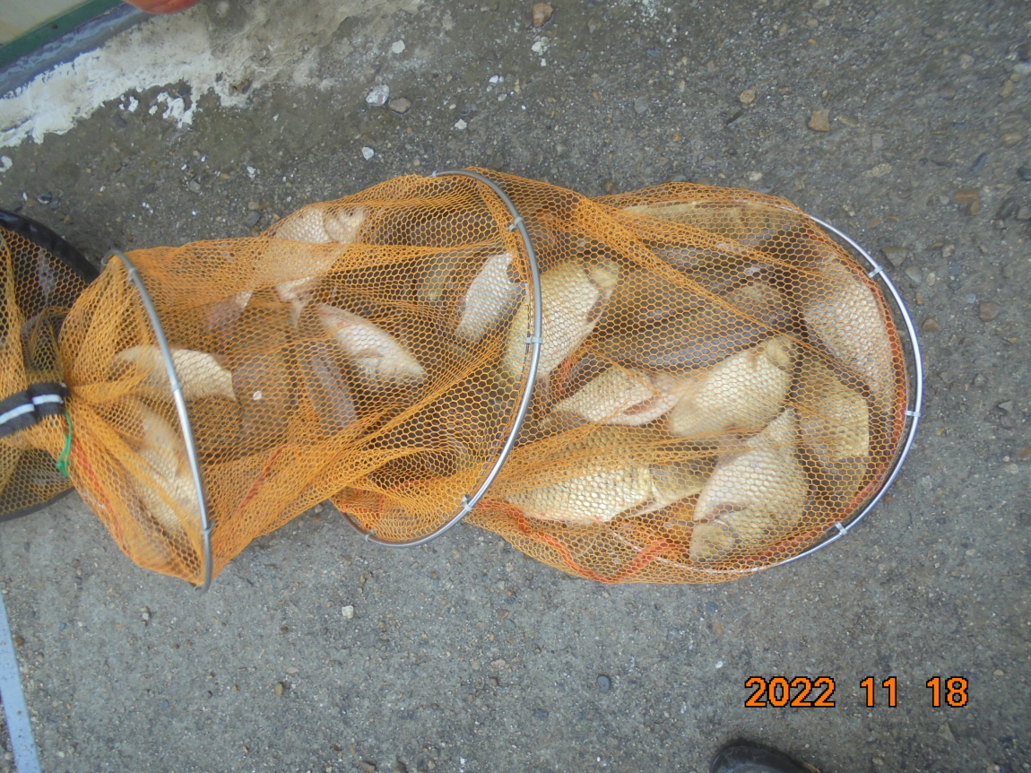 ÀϰýÆíÁý_DSC01901.JPG