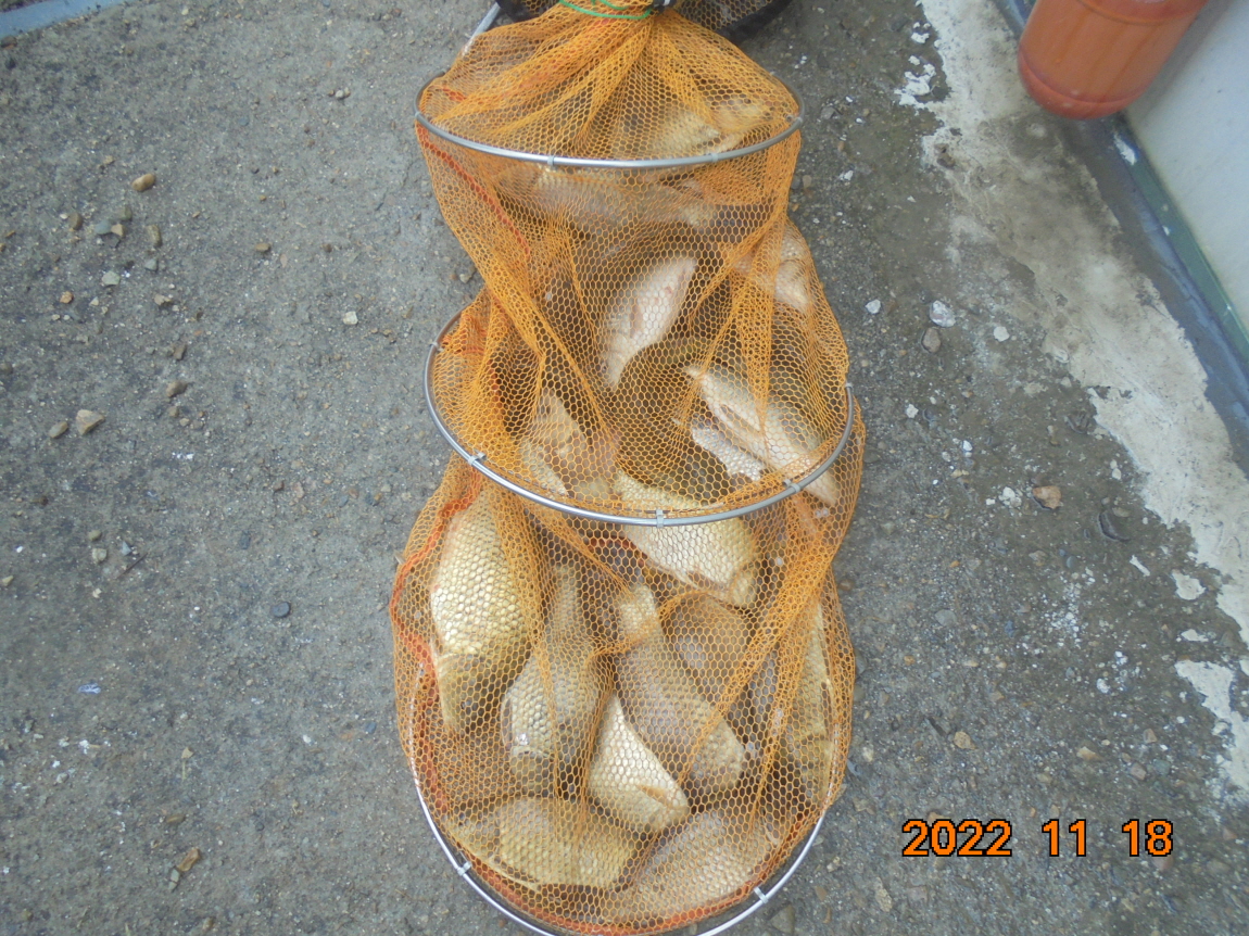 ÀϰýÆíÁý_DSC01902.JPG