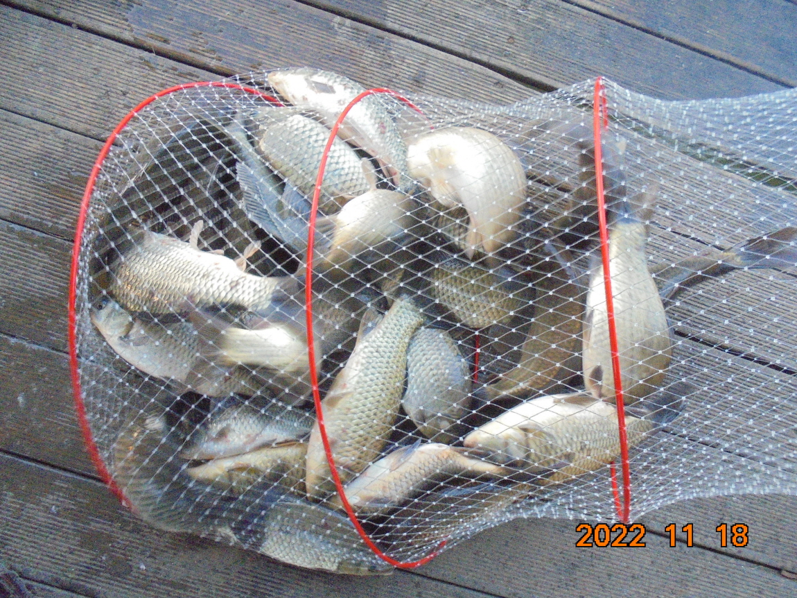ÀϰýÆíÁý_DSC01903.JPG