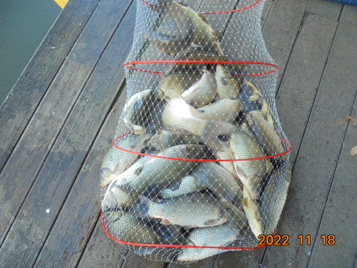 ÀϰýÆíÁý_DSC01904.JPG