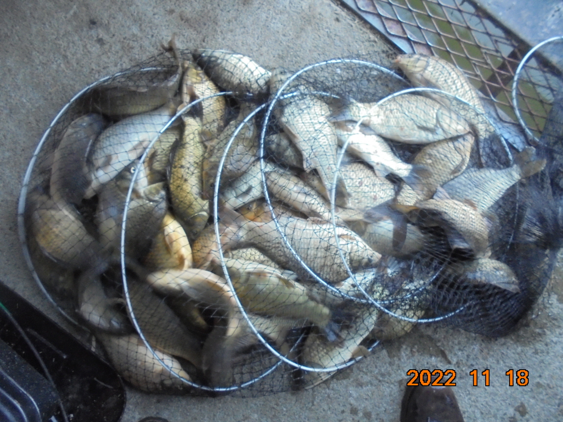 ÀϰýÆíÁý_DSC01915.JPG