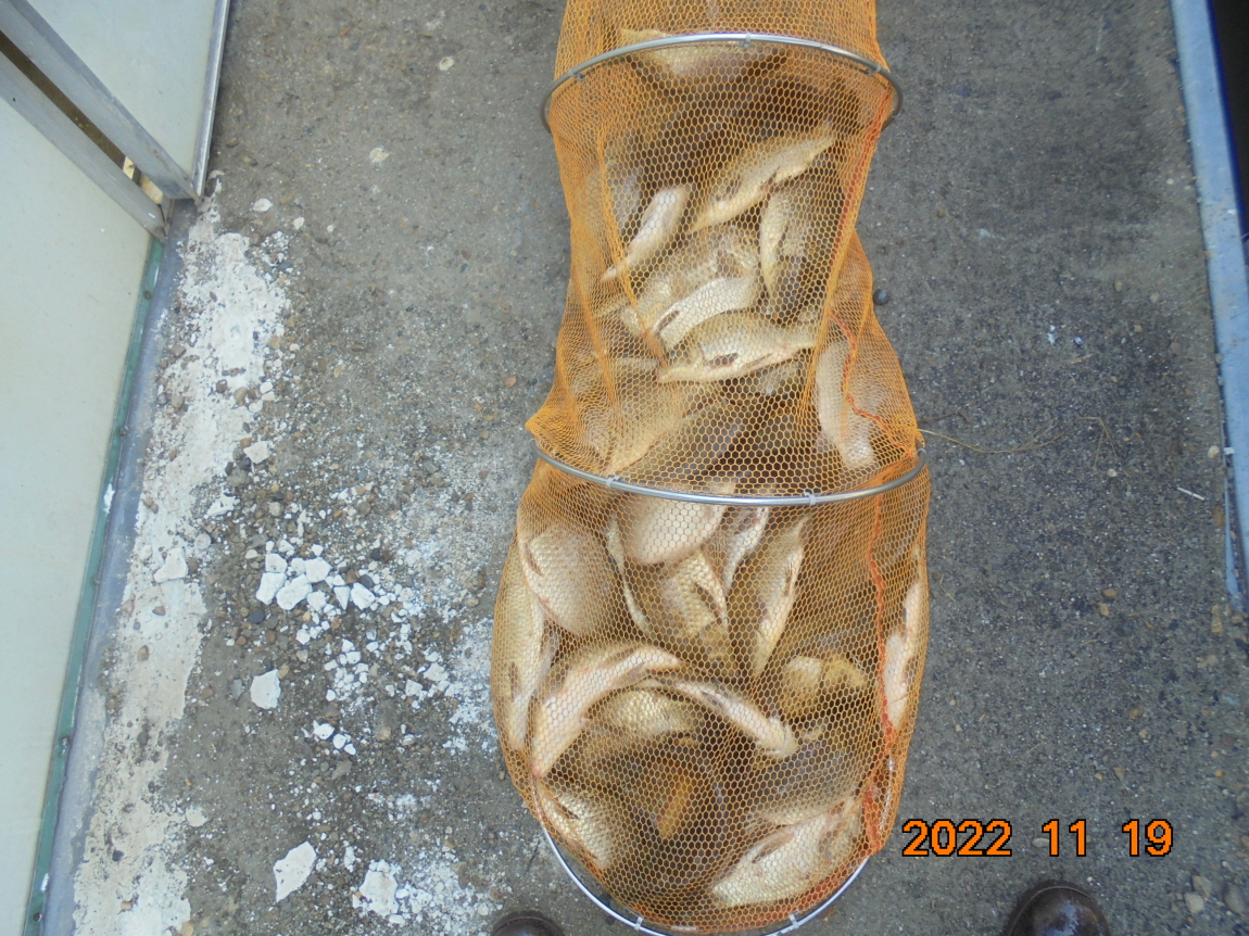 ÀϰýÆíÁý_DSC01923.JPG