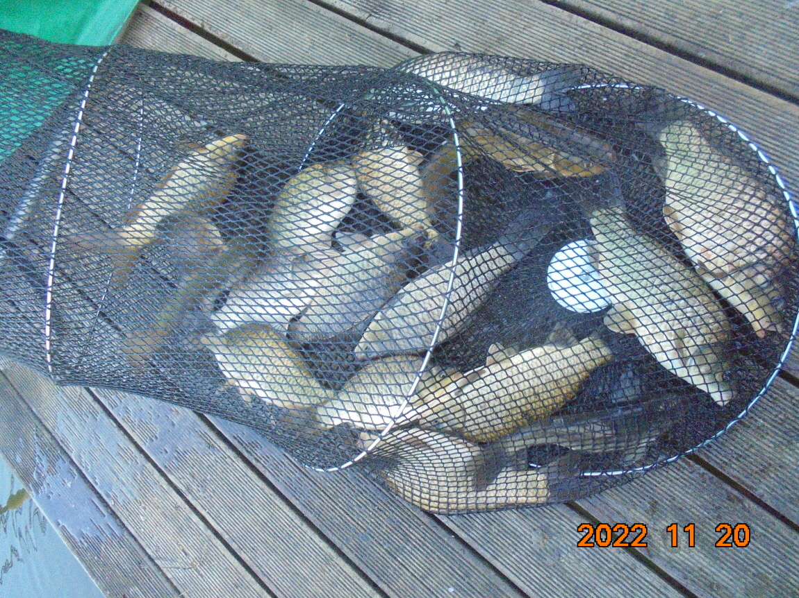 ÀϰýÆíÁý_DSC01949.JPG