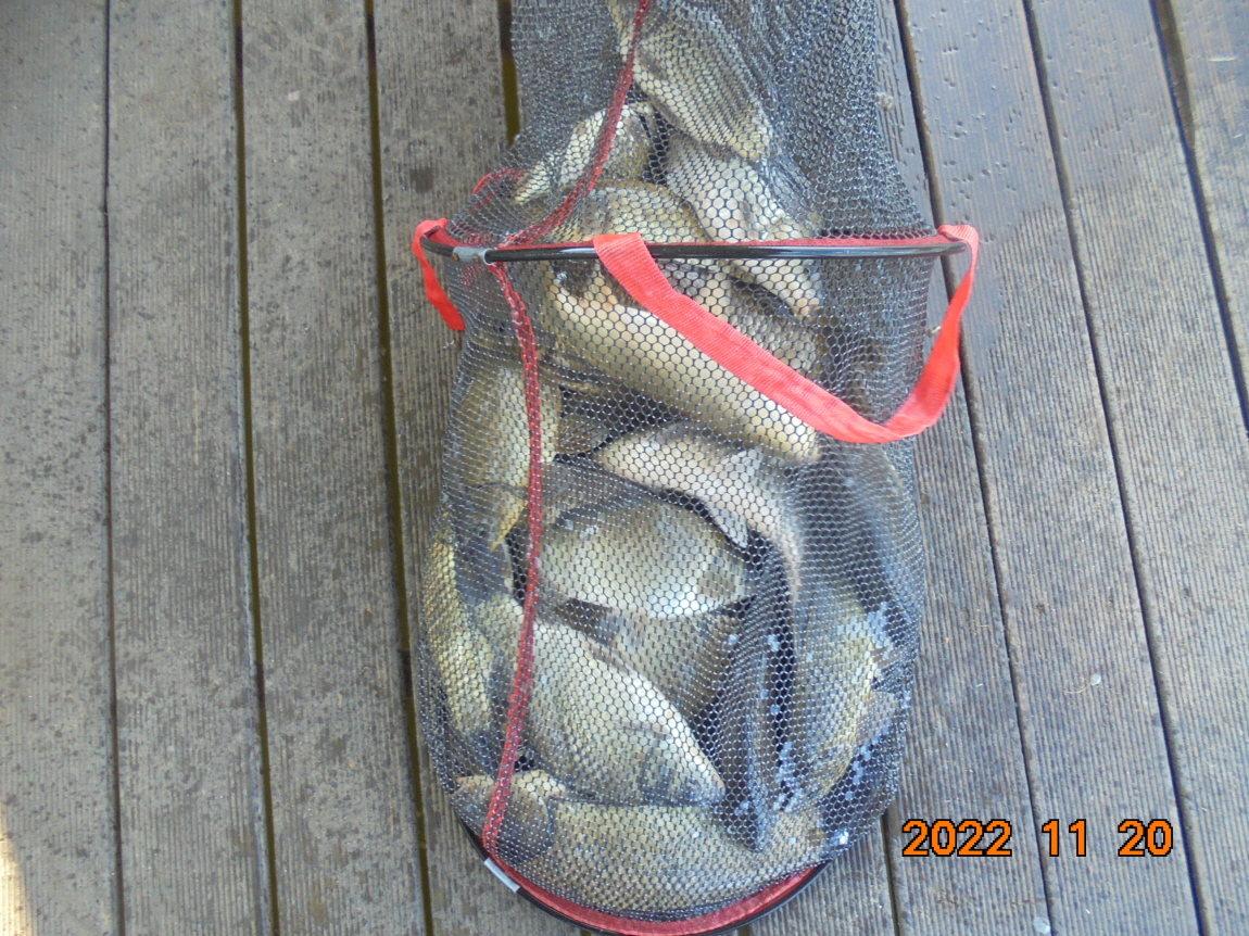 ÀϰýÆíÁý_DSC01955.JPG