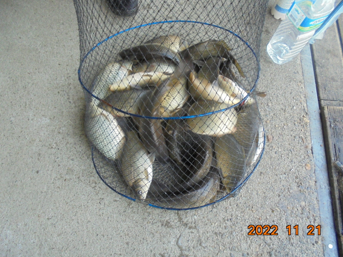 ÀϰýÆíÁý_DSC05627.JPG