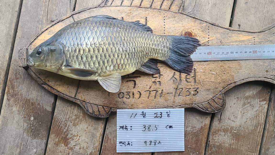 20221123중8 황창주일행38.5cm9882 (2).jpg