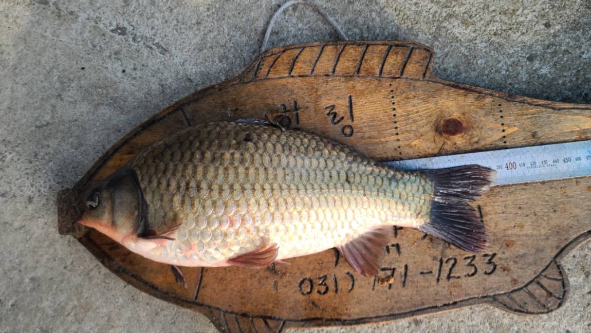 20221124노지 서일38 (1).jpg