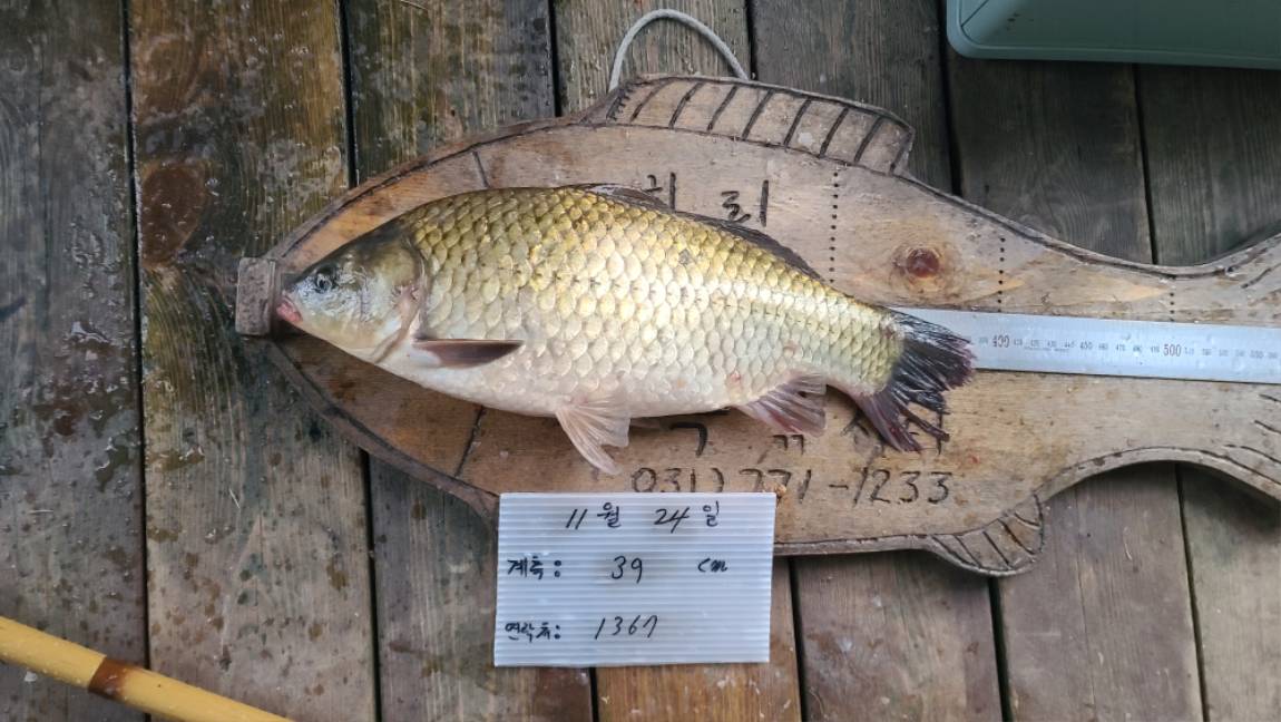20221124중3 이경희 39cm1367 (2).jpg