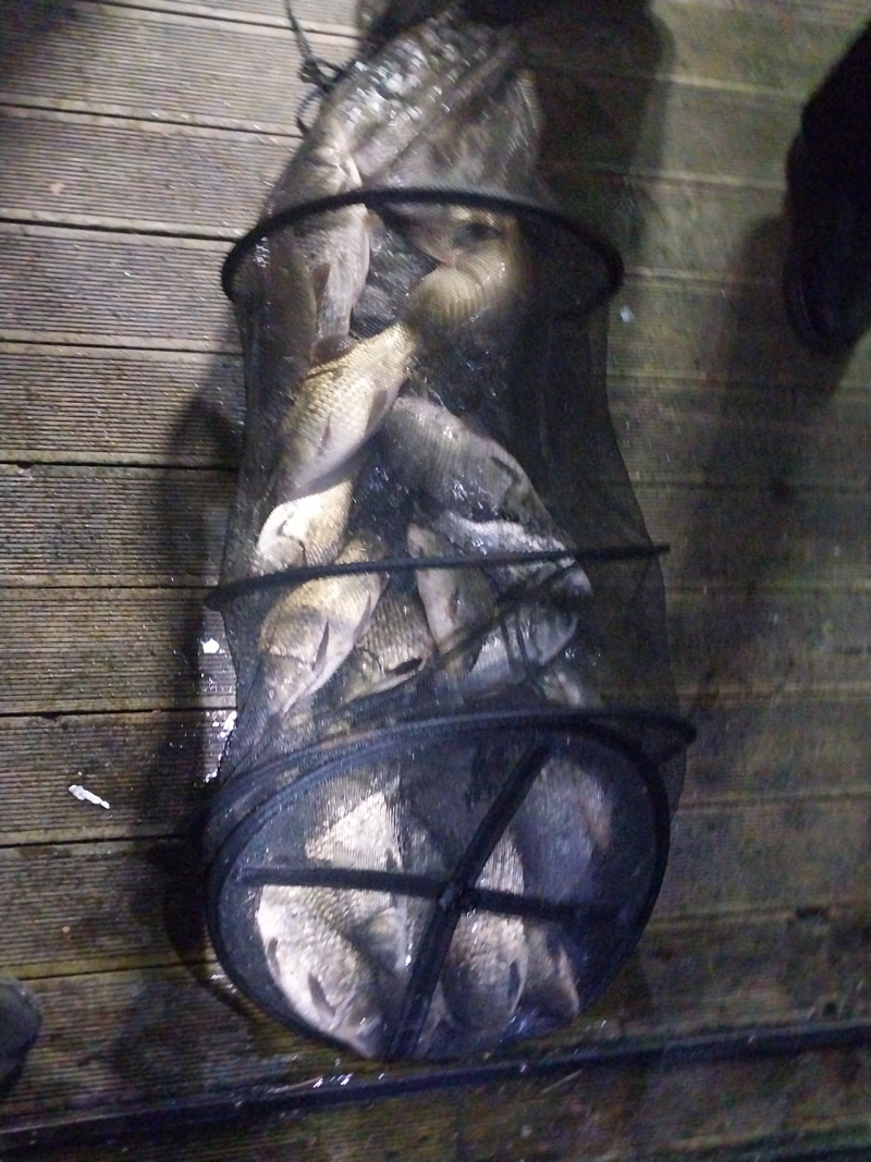 아산 산들낚시터의 12월부터 동절기 할인에  들어갑니다.