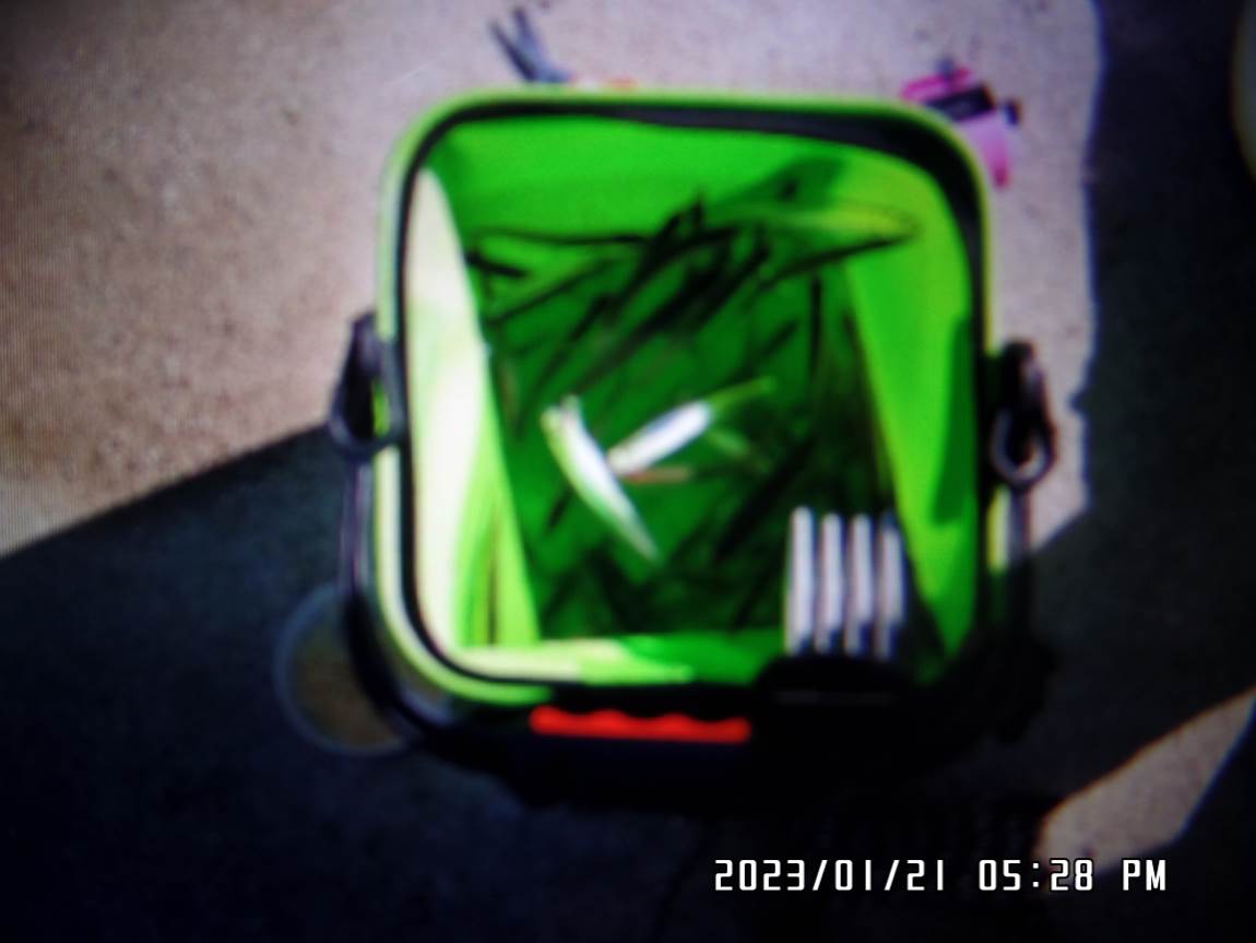 SAM_6511.JPG