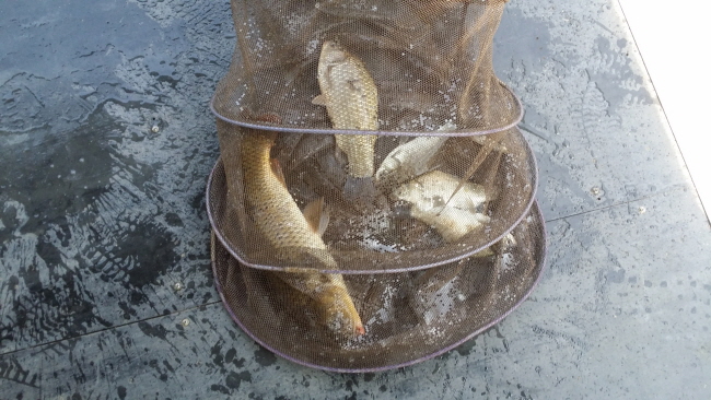  -20180416_103203.jpg