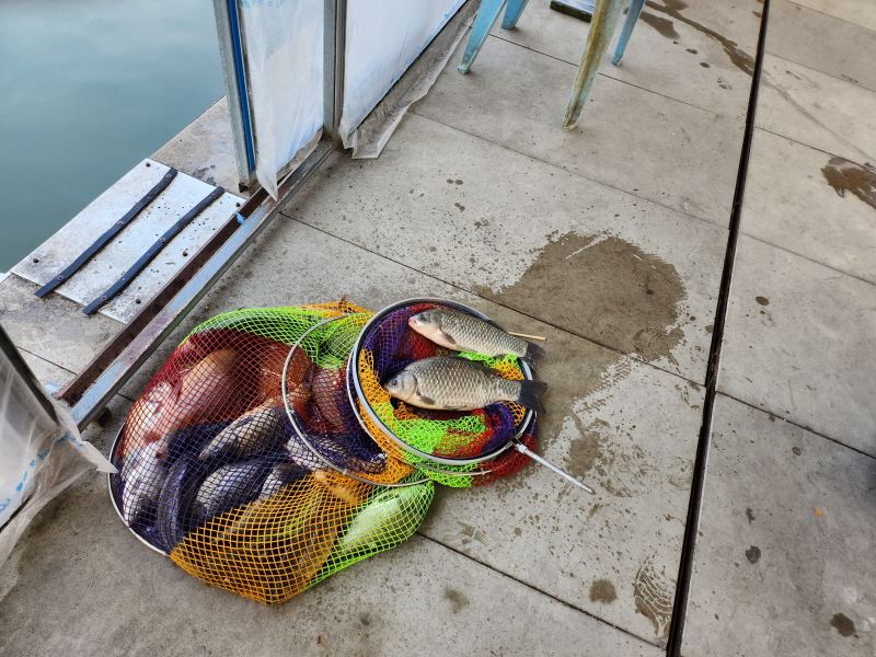 [꾸미기]27 (2).jpeg