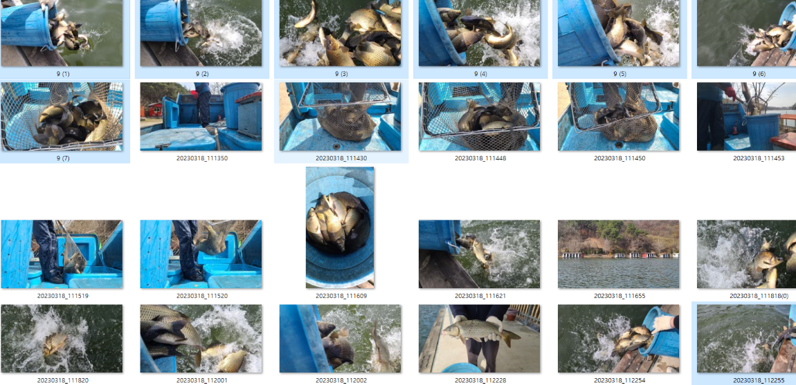 사용자 지정 1.png