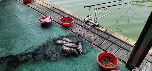 가깝고 물 좋고 경치 좋은 곳~~!!-용인삼인낚시터-