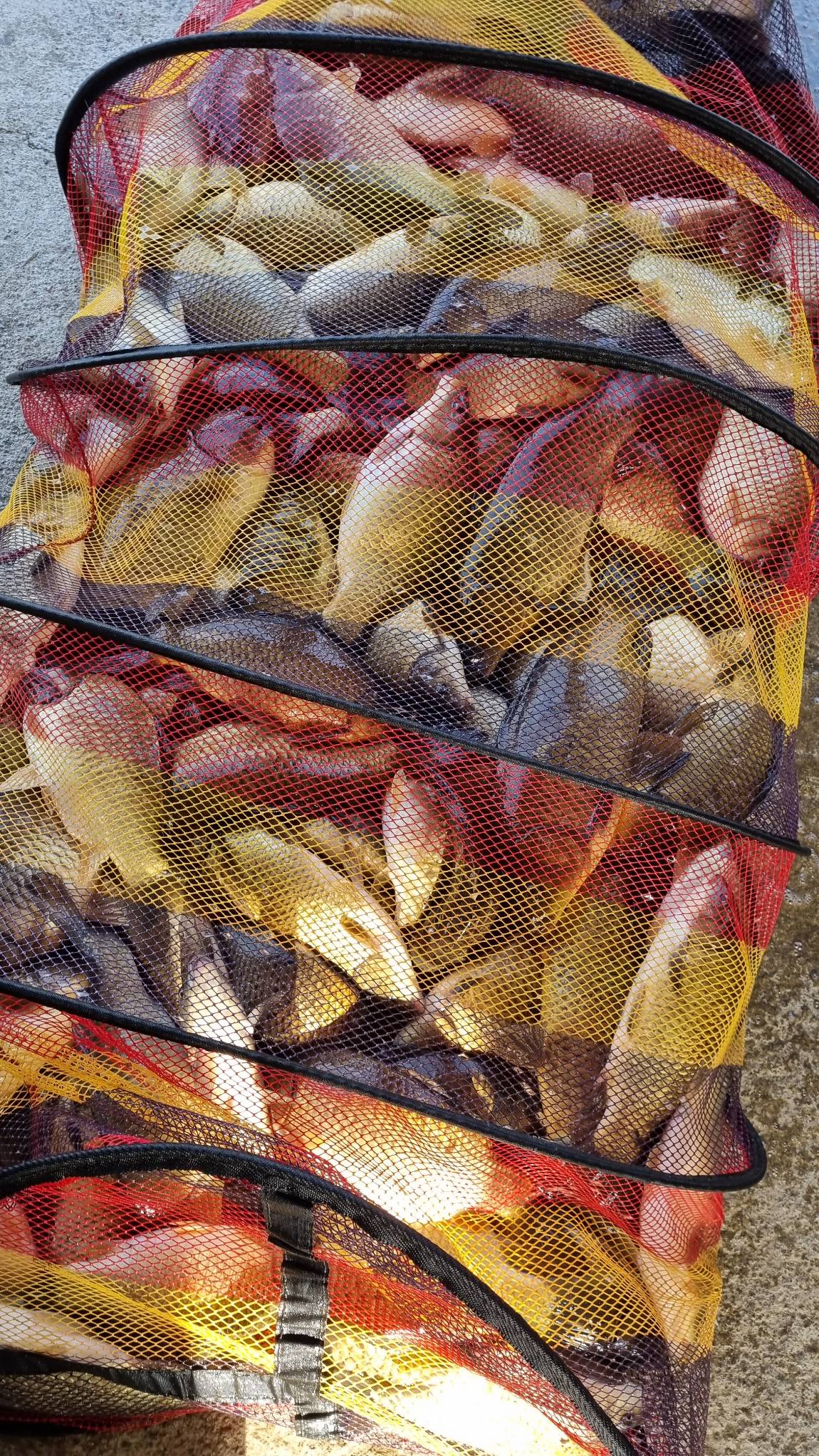 20230326_084943.jpg