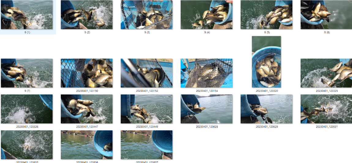 사용자 지정 1.png