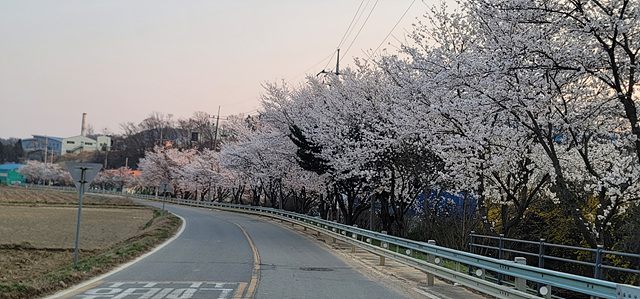 가깝고 물 좋고 경치 좋은 곳~~!!-용인삼인낚시터-