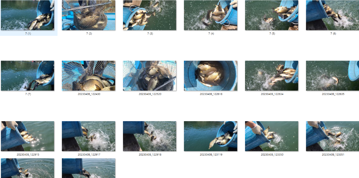 사용자 지정 1.png