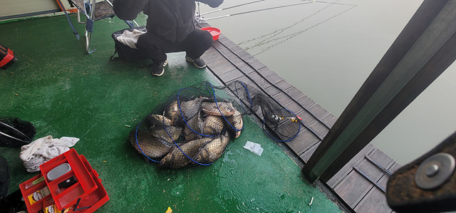 가깝고 물 좋고 경치 좋은 곳~~!!-용인삼인낚시터-