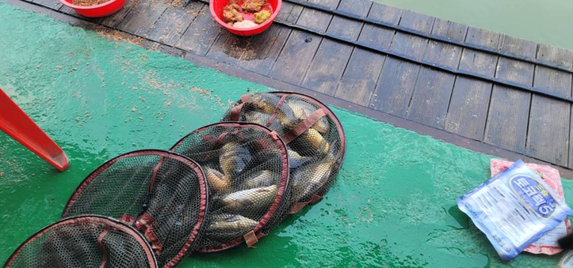 가깝고 물 좋고 경치 좋은 곳~~!!-용인삼인낚시터-