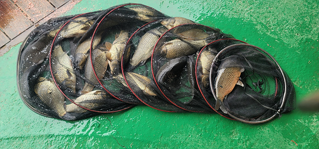 가깝고 물 좋고 경치 좋은 곳~~!!-용인삼인낚시터-