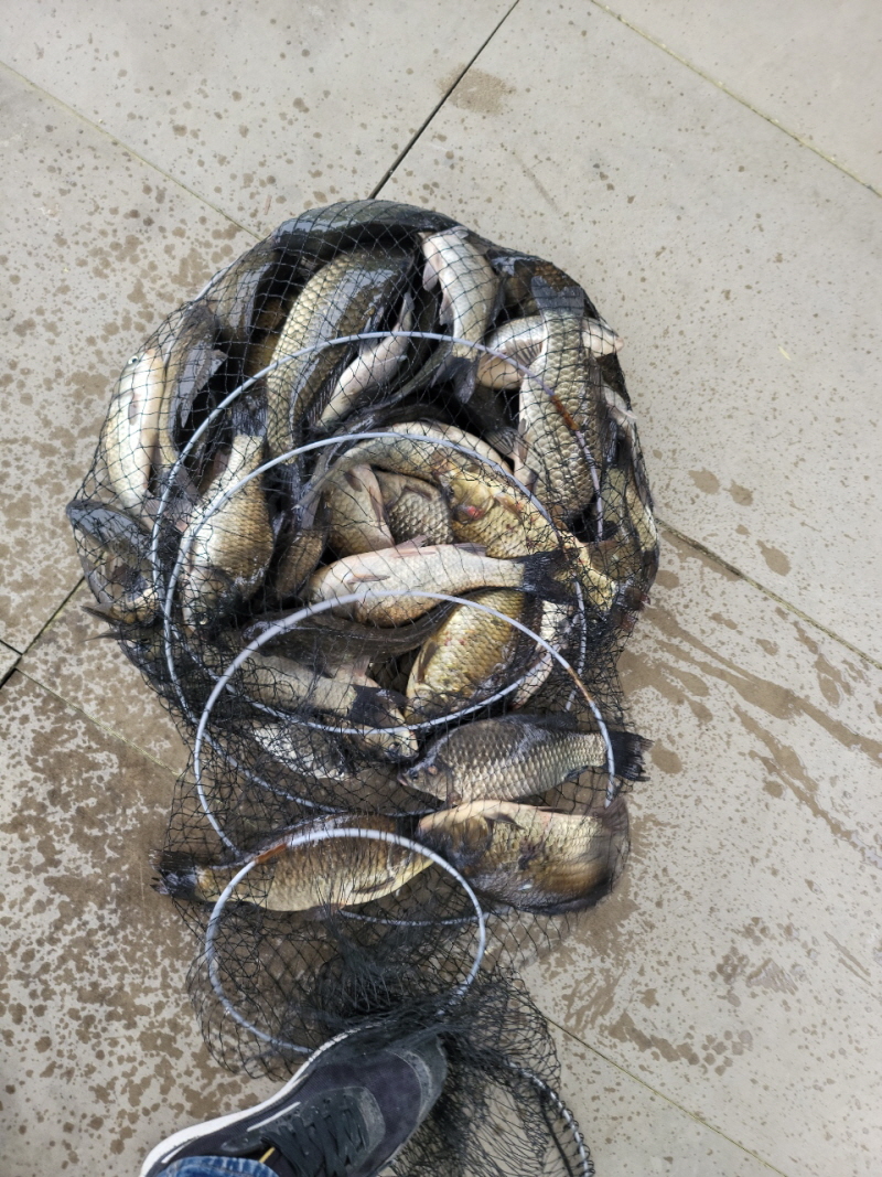 [꾸미기]01 (1).jpg