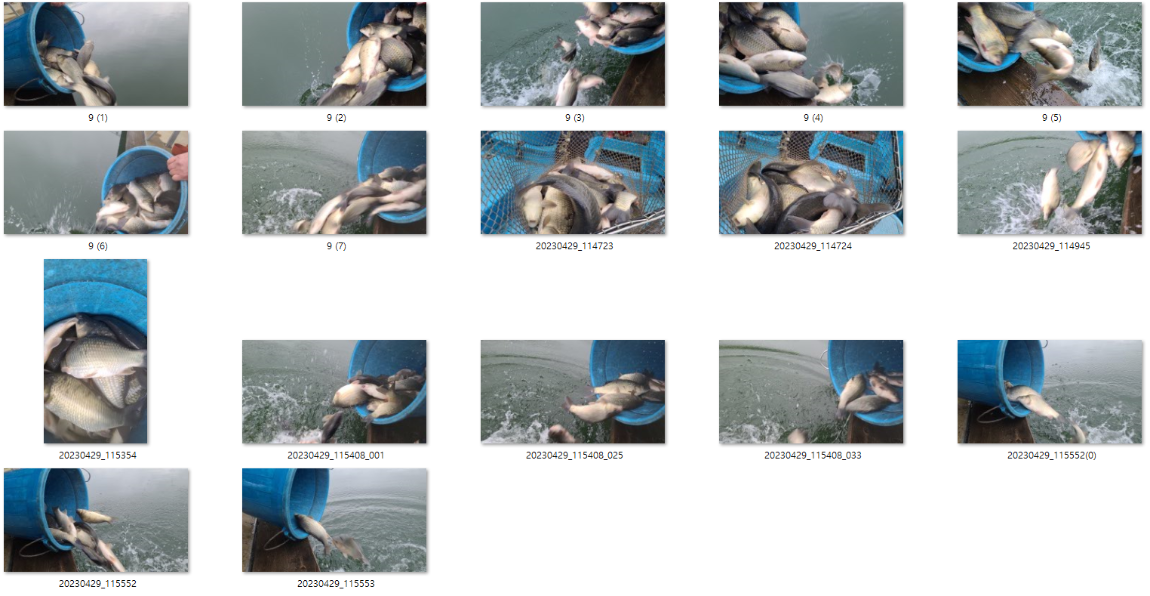 사용자 지정 1.png