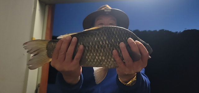 가깝고 물 좋고 경치 좋은 곳~~!!-용인삼인낚시터-