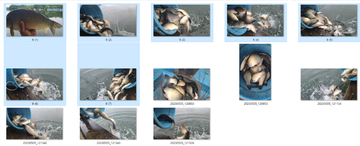 사용자 지정 1.png