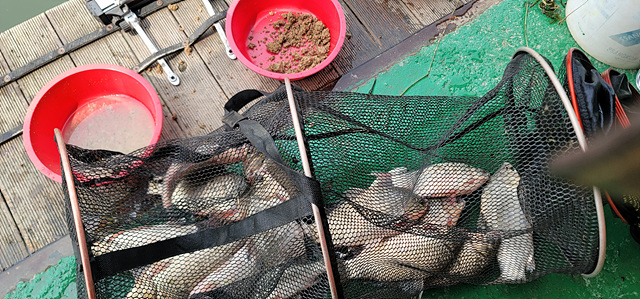 가깝고 물 좋고 경치 좋은 곳~~!!-용인삼인낚시터-