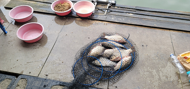 가깝고 물 좋고 경치 좋은 곳~~!!-용인삼인낚시터-