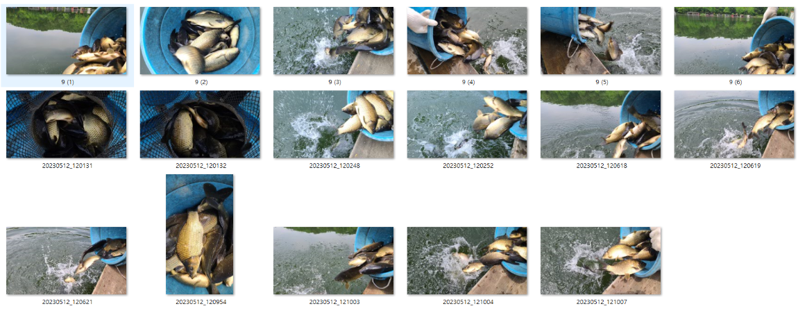 사용자 지정 1.png