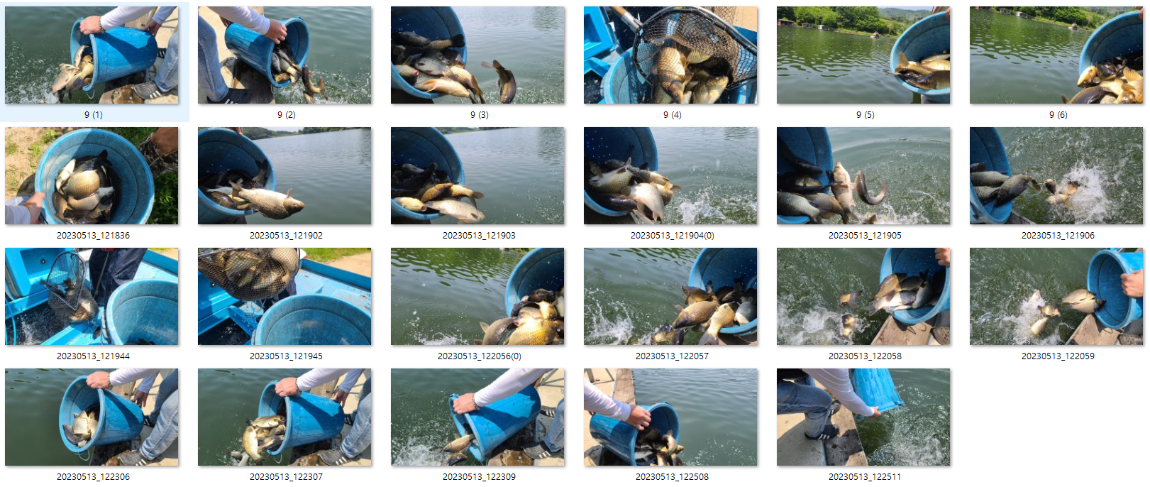 사용자 지정 1.png