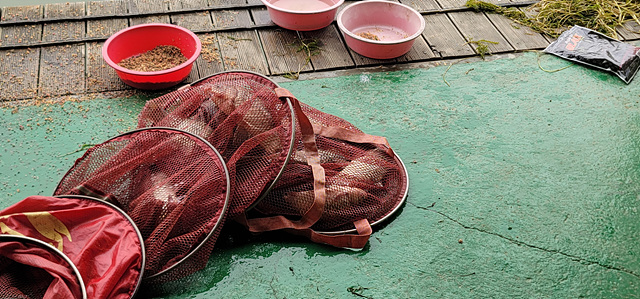 가깝고 물 좋고 경치 좋은 곳~~!!-용인삼인낚시터-