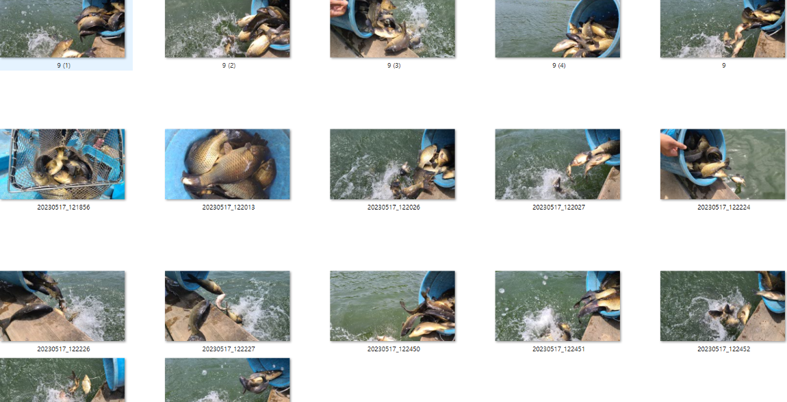 사용자 지정 1.png