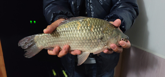 가깝고 물 좋고 경치 좋은 곳~~!!-용인삼인낚시터-
