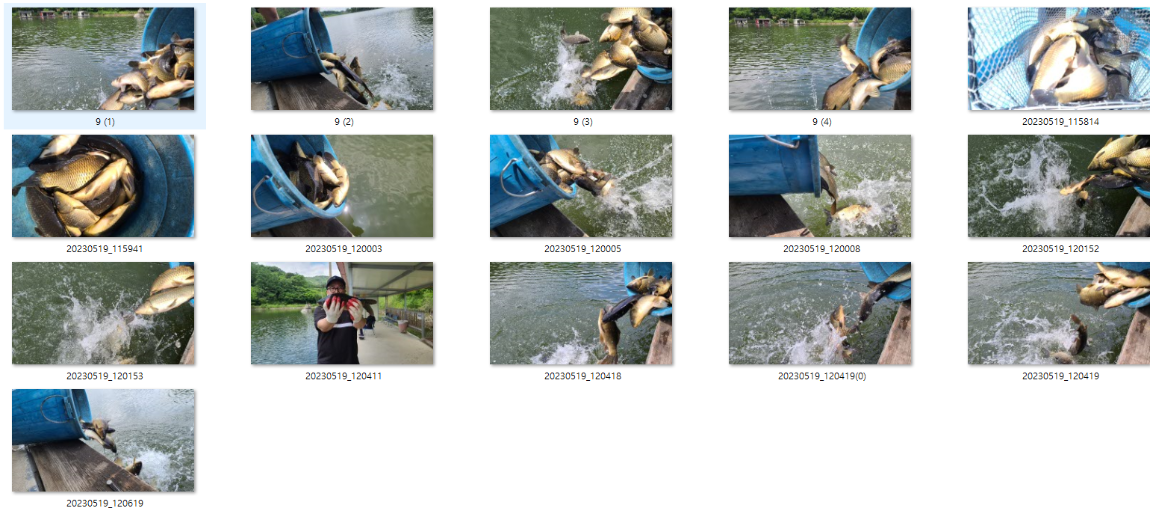 사용자 지정 1.png