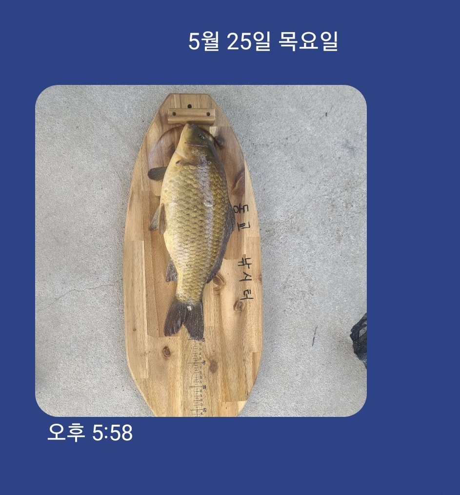 KakaoTalk_20230525_183729856.jpg