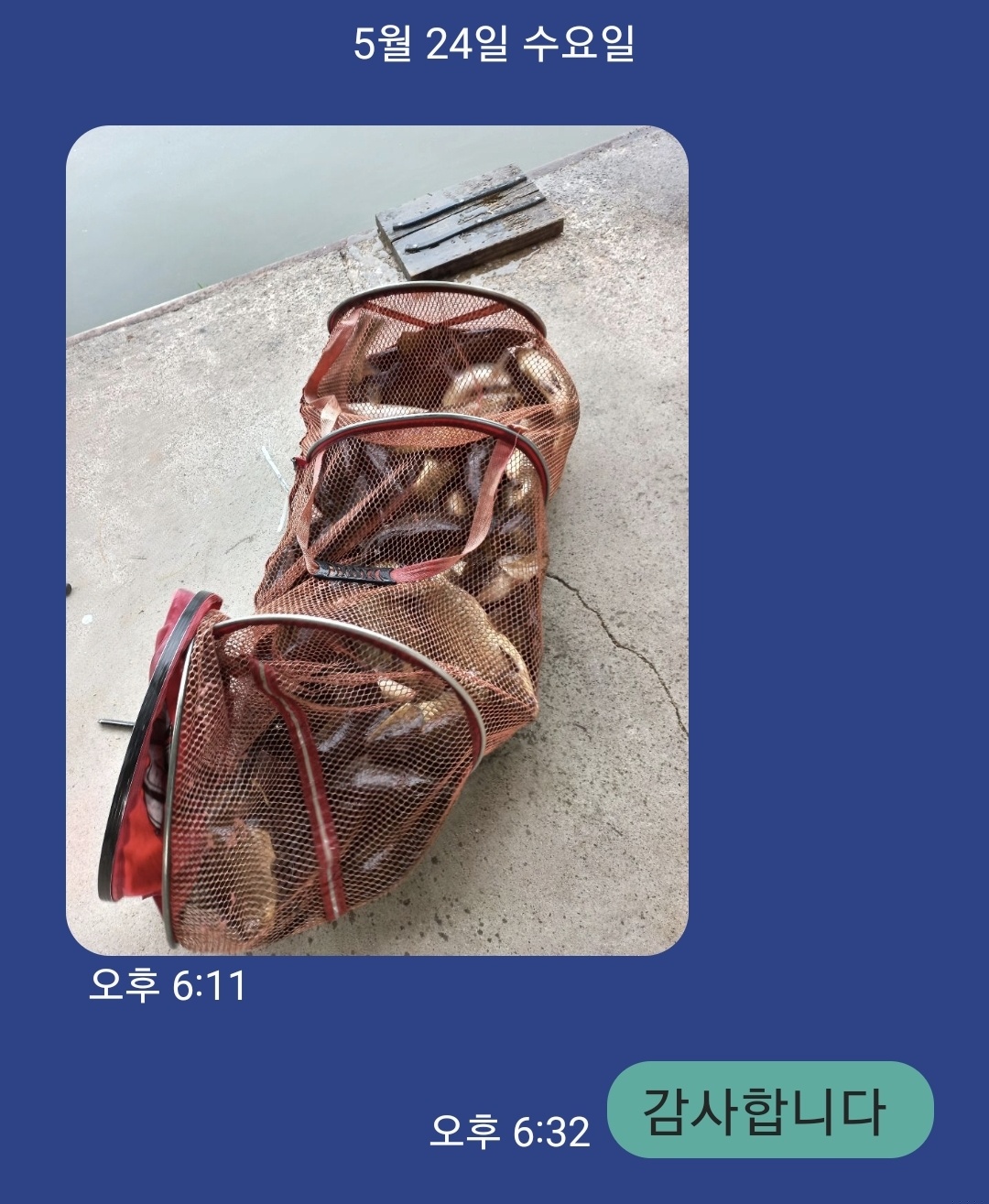 KakaoTalk_20230525_183916630.jpg