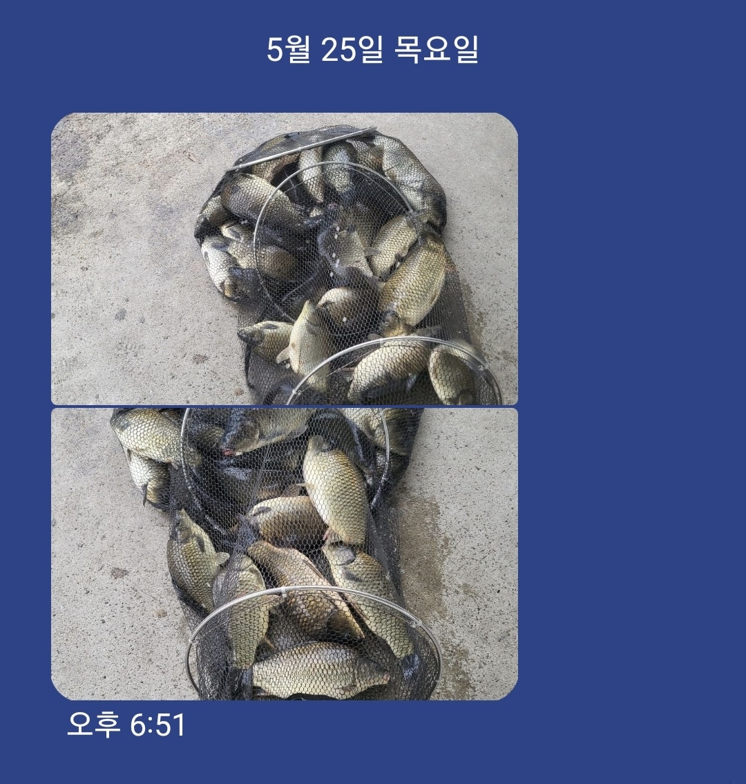 KakaoTalk_20230525_190129946.jpg