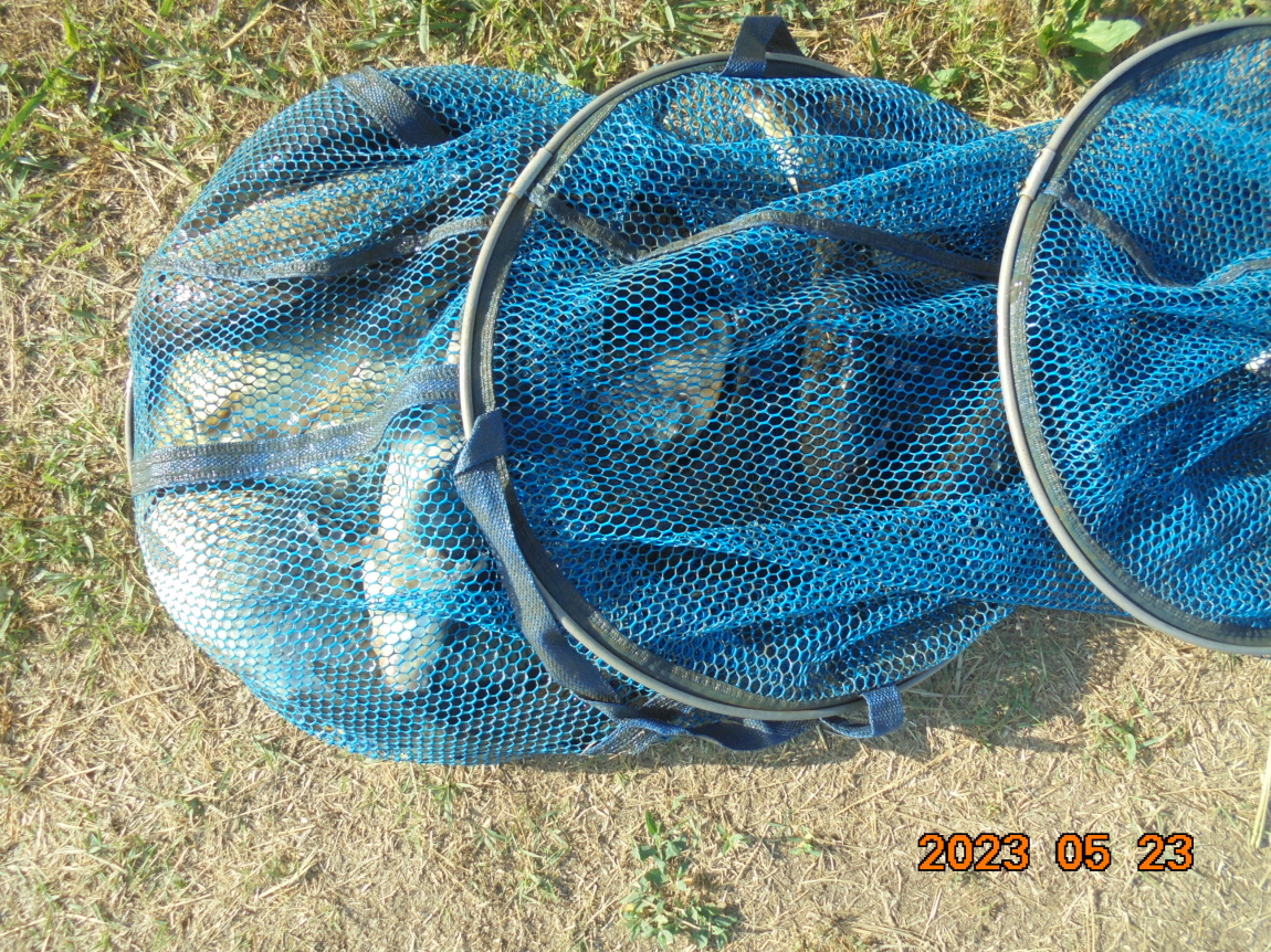 ÀϰýÆíÁý_DSC08237.JPG