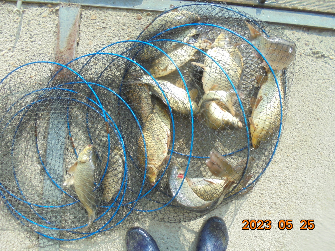 ÀϰýÆíÁý_DSC08265.JPG