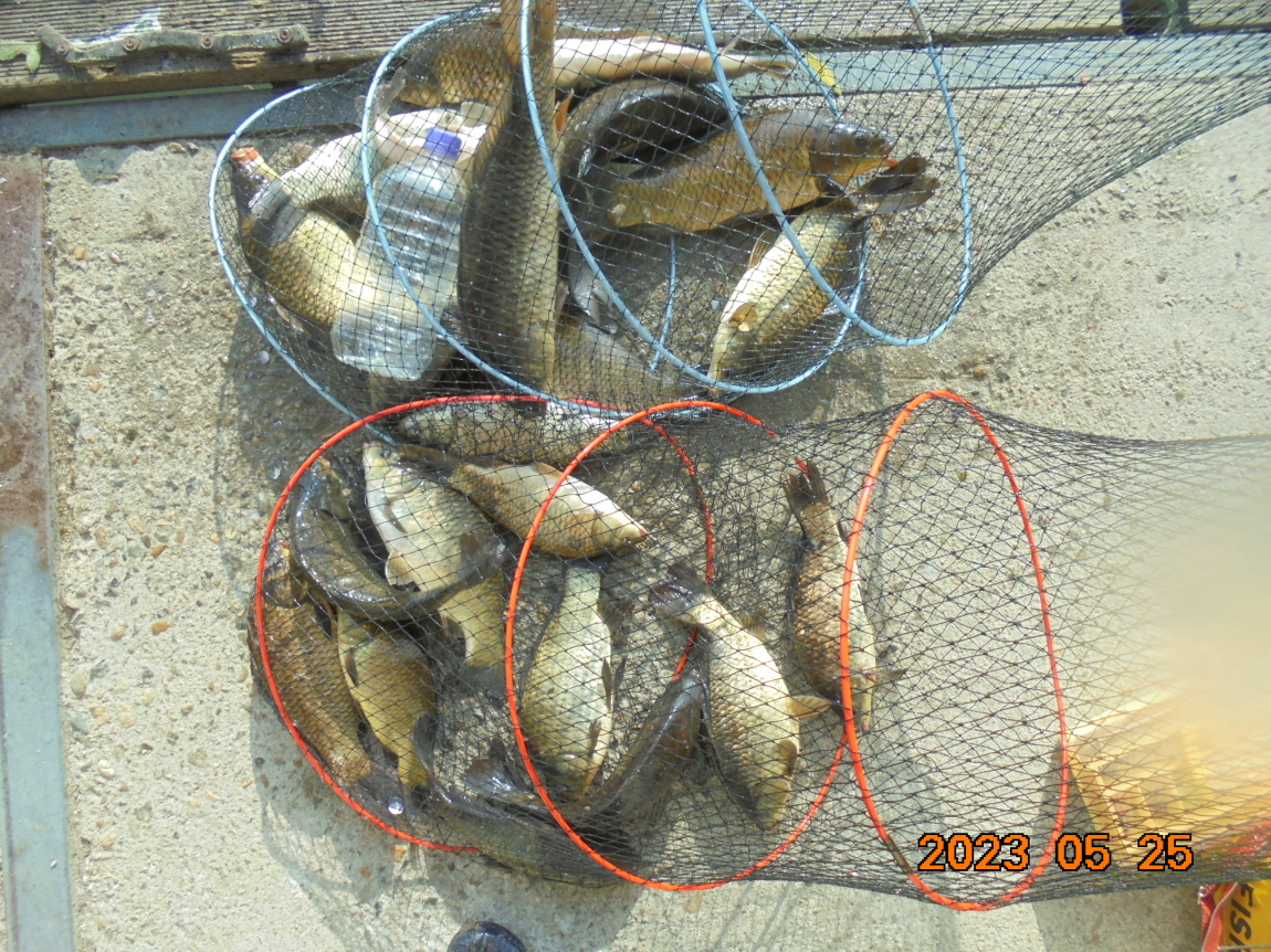 ÀϰýÆíÁý_DSC08264.JPG