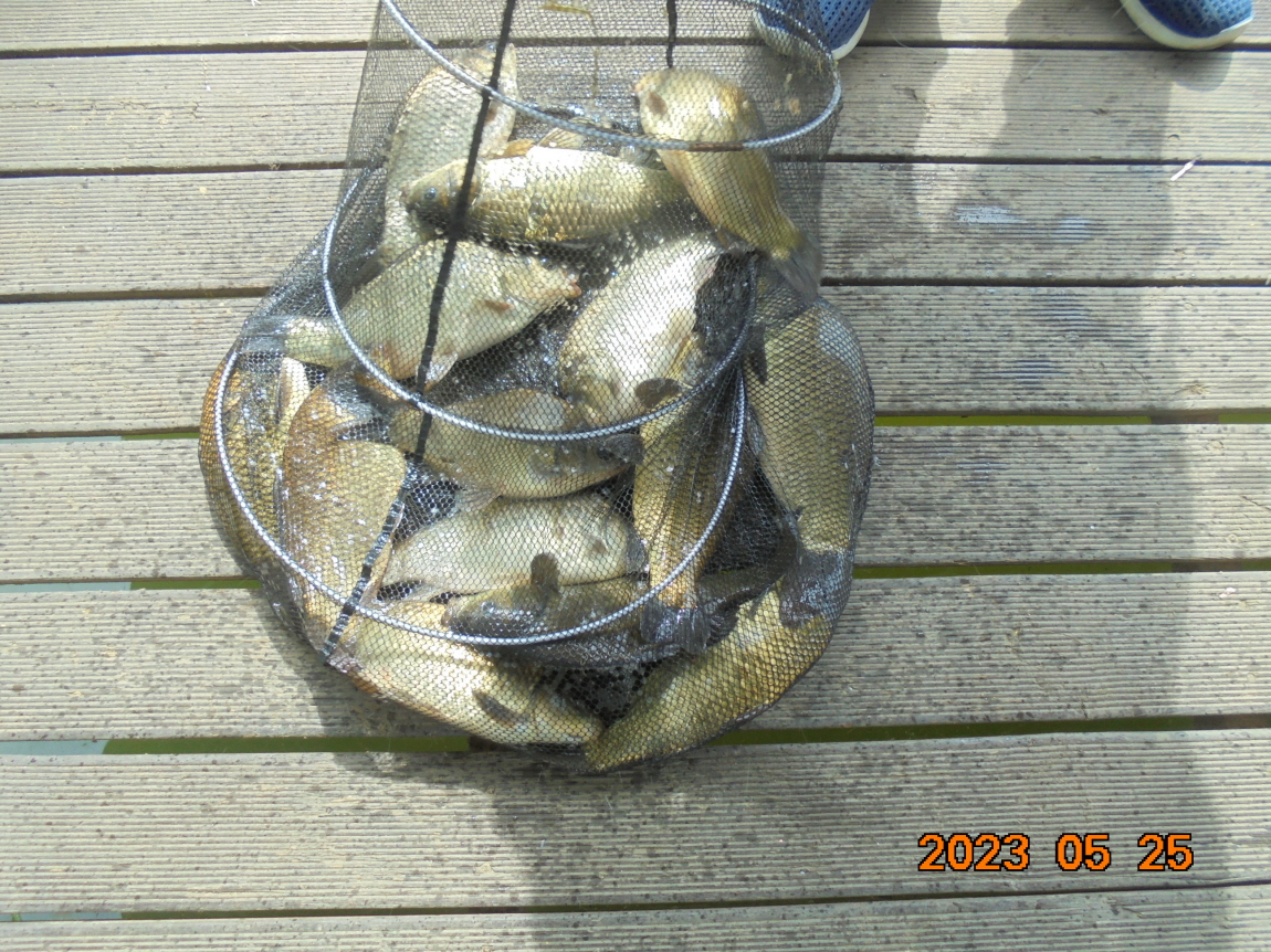 ÀϰýÆíÁý_DSC08271.JPG