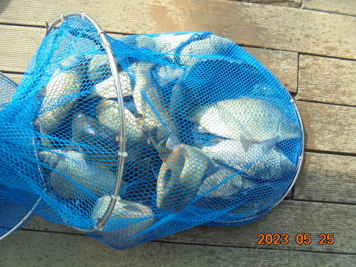ÀϰýÆíÁý_DSC08274.JPG