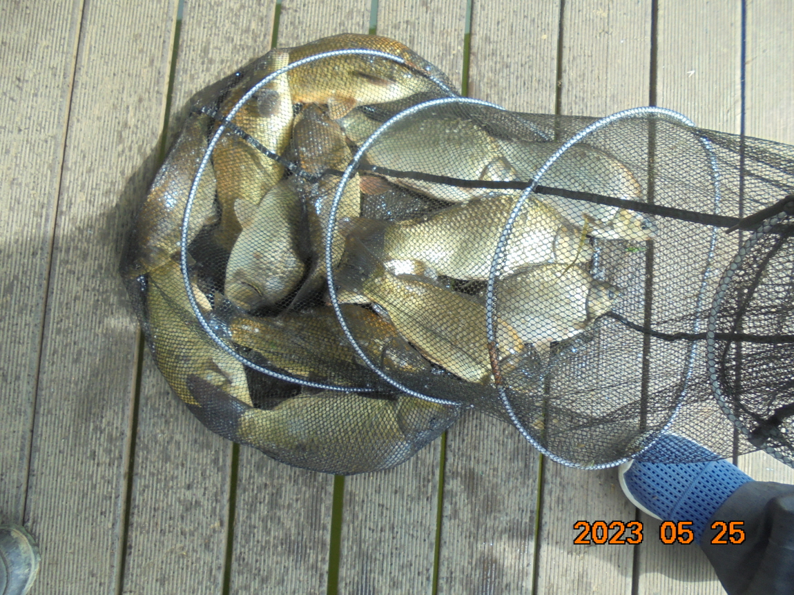 ÀϰýÆíÁý_DSC08272.JPG