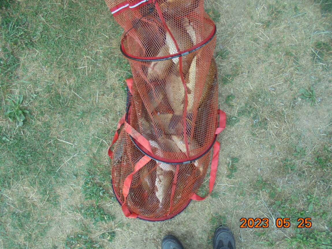 ÀϰýÆíÁý_DSC08284.JPG