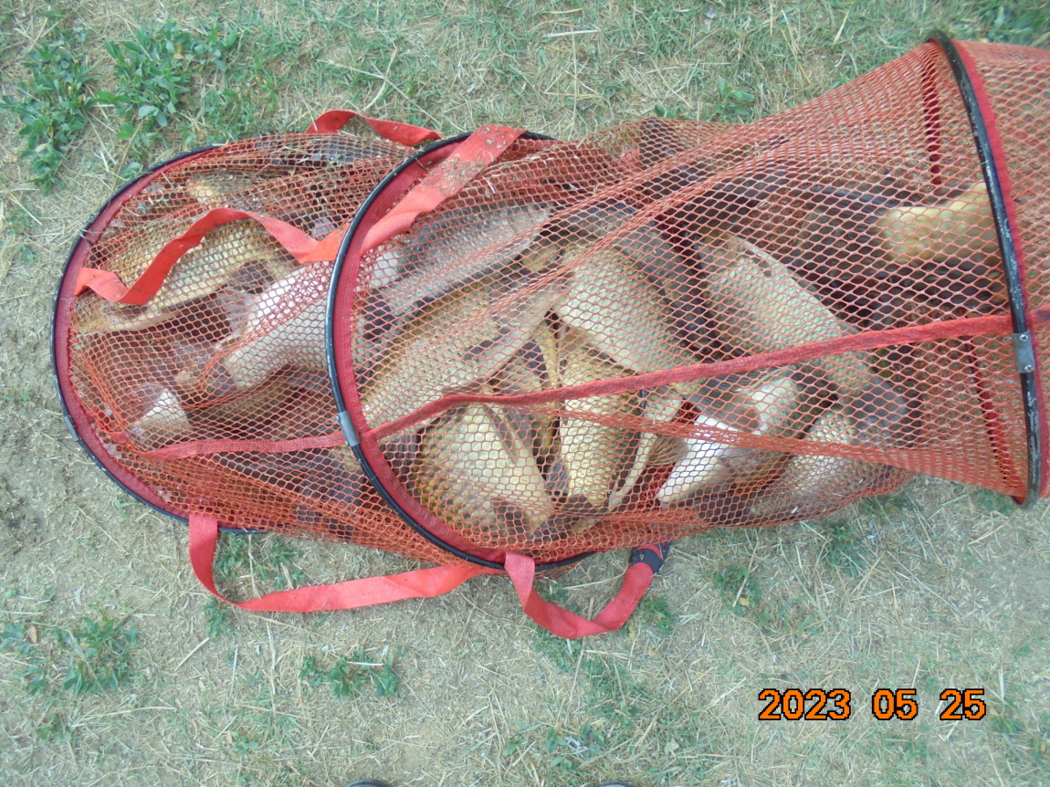 ÀϰýÆíÁý_DSC08283.JPG